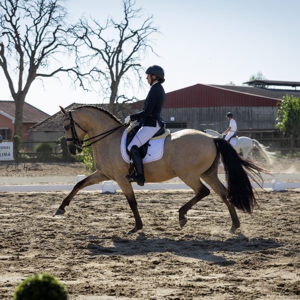 Astrid_Hedman_WE_2