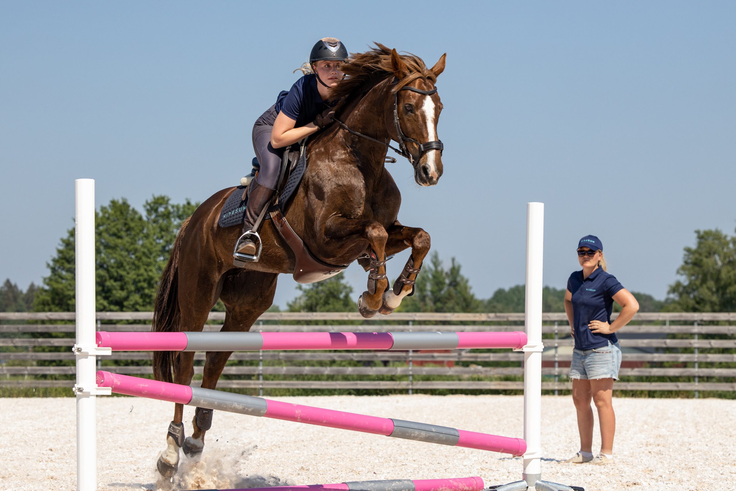 Showjumping