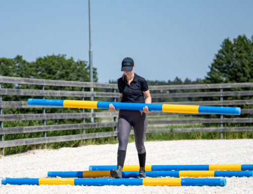 How good are your show jumping skills?