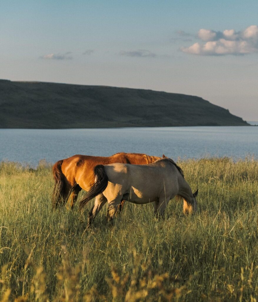 jean-van-wyk-win1NecdjsE-unsplash